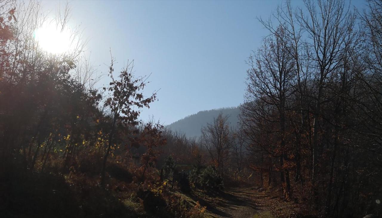 Koliba Pcelica 1-Spa Bijelo Polje Buitenkant foto